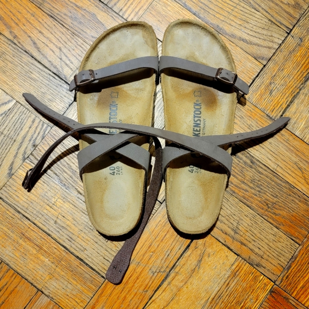 Birkenstock Daloa Women's Ankle Strap in Mocha